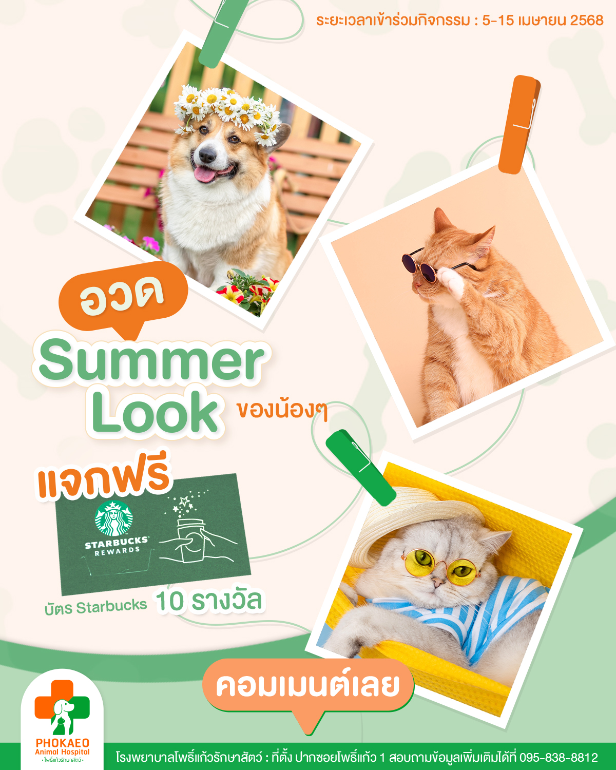 กิจกรรม Summer look กับโพธิ์แก้วรักษาสัตว์