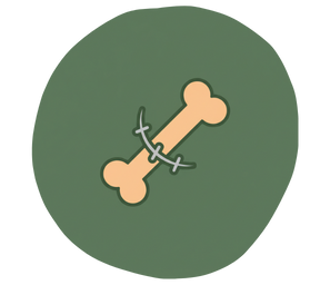 คลินิกศัลยกรรมเนื้อเยื่ออ่อนและกระดูก 