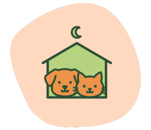 บริการฝากเลี้ยง โรงแรมแมว