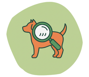 คลินิกโรคผิวหนังสัตว์เลี้ยง