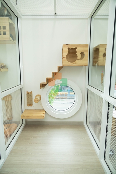โรงแรมแมว cat hotel รับฝากเลี้ยงสัตว์ โรงพยาบาสสัตว์ รพส โพธิ์แก้วรักษาสัตว์ รักษาสัตว์บางกะปิ โรงพยาลสัตว์บางกะปิ