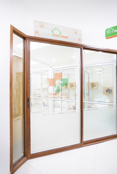โรงแรมแมว cat hotel รับฝากเลี้ยงสัตว์ โรงพยาบาสสัตว์ รพส โพธิ์แก้วรักษาสัตว์ รักษาสัตว์บางกะปิ โรงพยาลสัตว์บางกะปิ