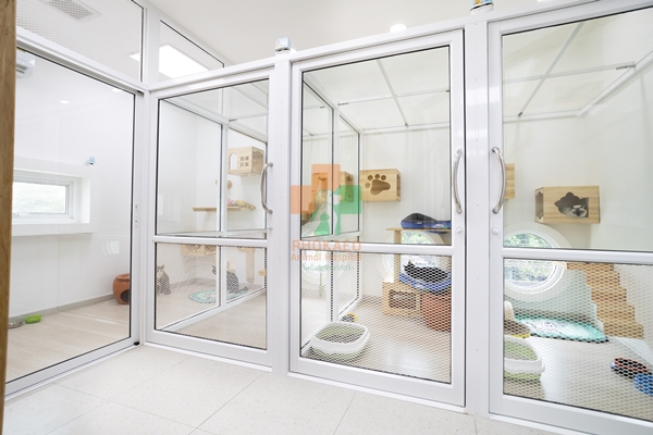 โรงแรมแมว cat hotel รับฝากเลี้ยงสัตว์ โรงพยาบาสสัตว์ รพส โพธิ์แก้วรักษาสัตว์ รักษาสัตว์บางกะปิ โรงพยาลสัตว์บางกะปิ