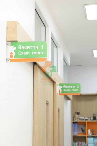 แผนกอายุรกรรม ตรวจโรคทั่วไปของสัตว์เลี้ยง โรงพยาบาสสัตว์ รพส โพธิ์แก้วรักษาสัตว์ รักษาสัตว์บางกะปิ โรงพยาลสัตว์บางกะปิ