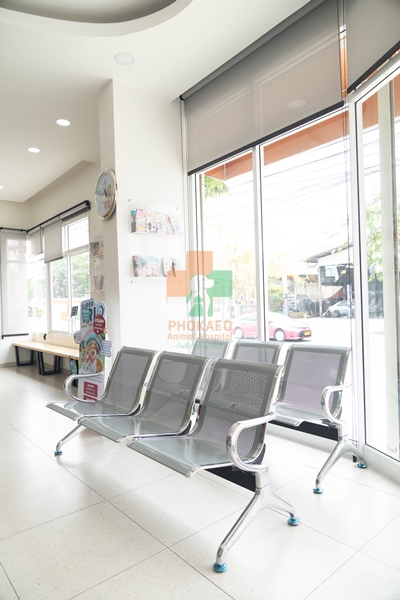 แผนกอายุรกรรม ตรวจโรคทั่วไปของสัตว์เลี้ยง โรงพยาบาสสัตว์ รพส โพธิ์แก้วรักษาสัตว์ รักษาสัตว์บางกะปิ โรงพยาลสัตว์บางกะปิ