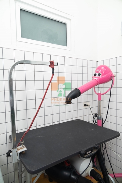 groomingสัตว์เลี้ยง อาบน้ำตัดขนแมว หมา โรงพยาบาสสัตว์ รพส โพธิ์แก้วรักษาสัตว์ รักษาสัตว์บางกะปิ โรงพยาลสัตว์บางกะปิ