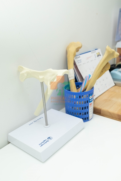 คลินิกศัลยกรรมเนื้อเยื่ออ่อนและกระดูกสัตว์เลี้ยง โรงพยาบาสสัตว์ รพส โพธิ์แก้วรักษาสัตว์ รักษาสัตว์บางกะปิ โรงพยาลสัตว์บางกะปิ