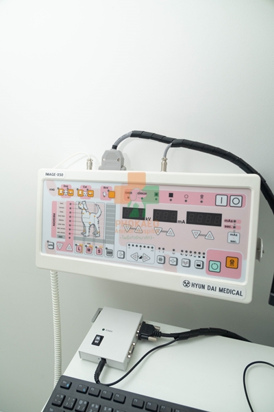 ห้อง xray สัตว์เลี้ยง โรงพยาบาสสัตว์ รพส โพธิ์แก้วรักษาสัตว์ รักษาสัตว์บางกะปิ โรงพยาลสัตว์บางกะปิ