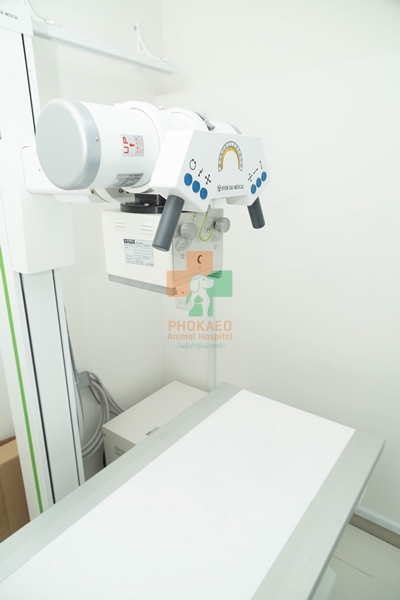 ห้อง xray สัตว์เลี้ยง โรงพยาบาสสัตว์ รพส โพธิ์แก้วรักษาสัตว์ รักษาสัตว์บางกะปิ โรงพยาลสัตว์บางกะปิ