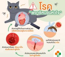 โรคพยาธิหนอนหัวใจ เกิดจากอะไรได้บ้าง?