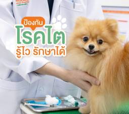 ป้องกันโรคไต รู้ไว รักษาได้