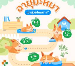 อายุมะหมาเข้าสู่วัยไหนน้าาา?